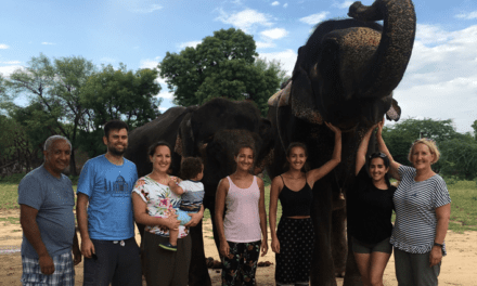 A Day With the Elephants