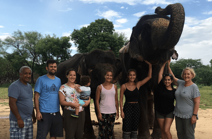 A Day With the Elephants