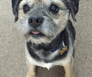 The Last Chapter – July 2021