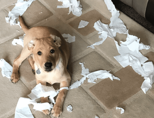 The Last Chapter – December 2021