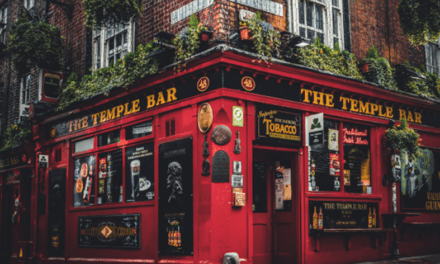 DUBLIN THE FUN