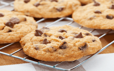 BIG FAT CHEWY CHOCOLATE CHIP COOKIES
