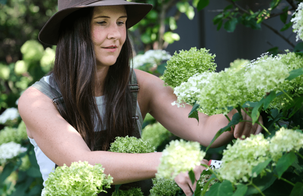 GARDENING IN APRIL – TIME TO SOW, PLANT AND PREPARE