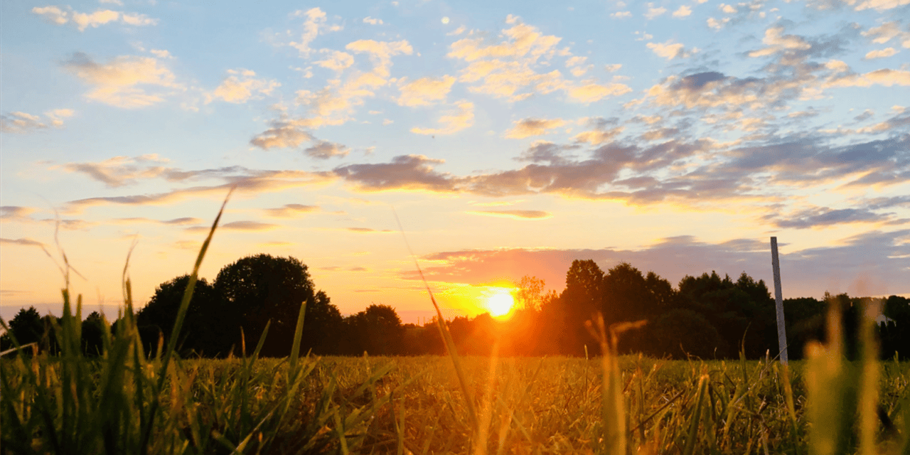 The Rise of the Early Evening