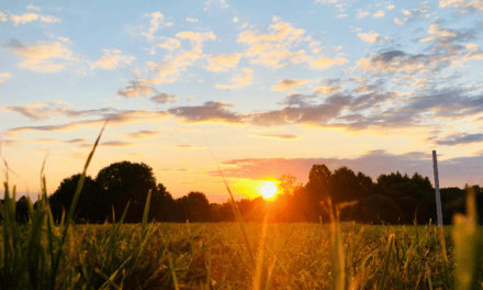 The Rise of the Early Evening