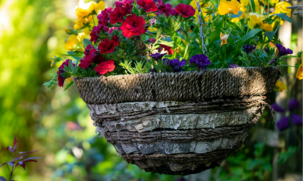 Gardening in August