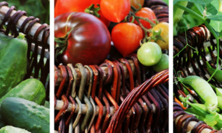 Gardening in July